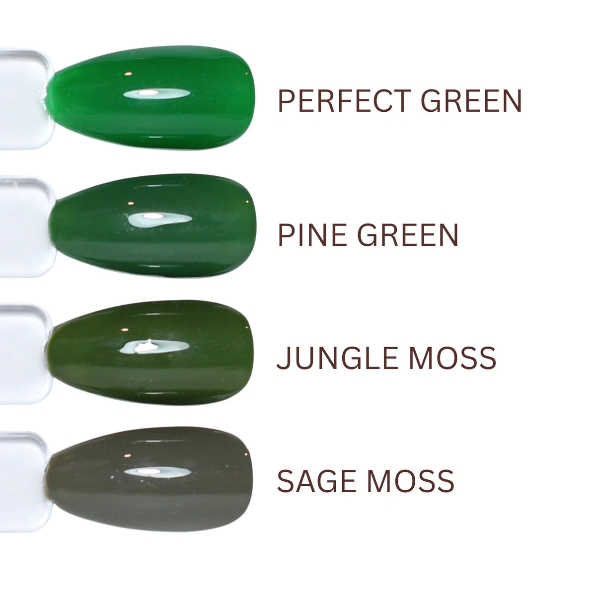 Gel Colour - Jungle Moss