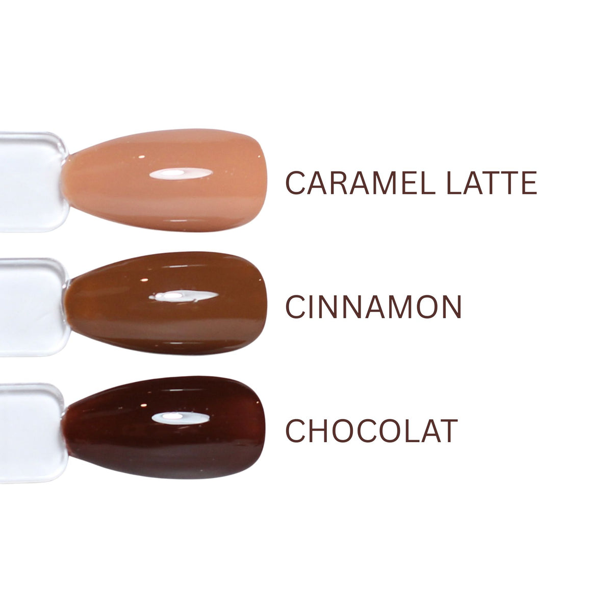 Gel Colour - Chocolat