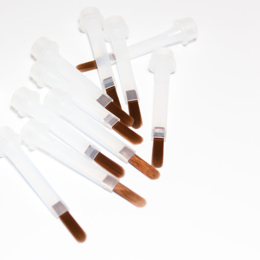 Brush replacement (10 pack)