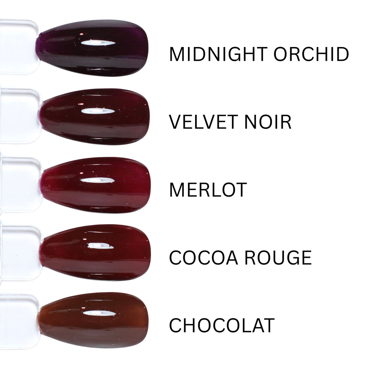 Gel Colour - Chocolat